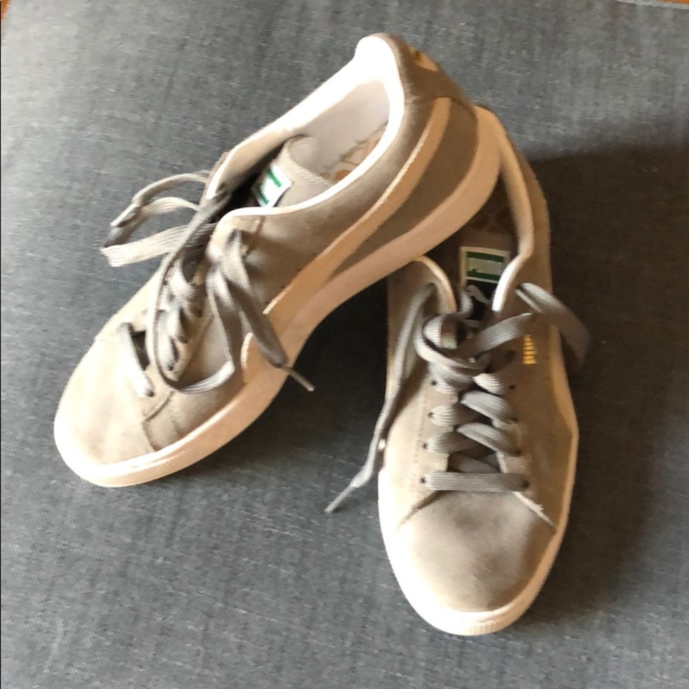 Grey Pumas
